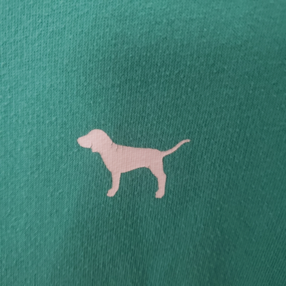 ⭐ PINK Victoria's Secret Teal Turquoise Aqua Sweatshirt Small Dog Logo - Picture 3 of 9
